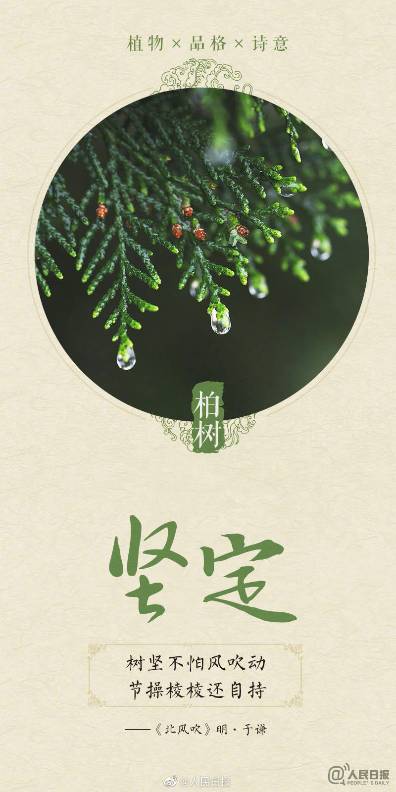 1678579580634257.jpg?x-oss-process=style/w10 0033ImPzly1hbwq4pyy2lj60m818gwr102.jpg?x-oss-process=style/w10