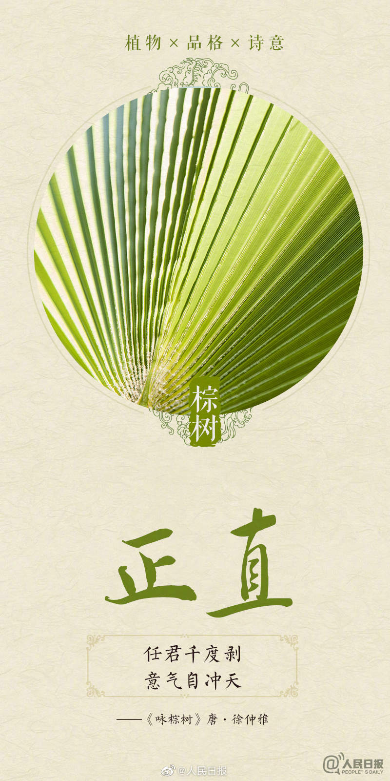 1678579607893799.jpg?x-oss-process=style/w10 0033ImPzly1hbwq4r6qx7j60m818gk6u02.jpg?x-oss-process=style/w10