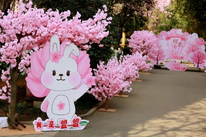 昆明市盘龙区联盟小学