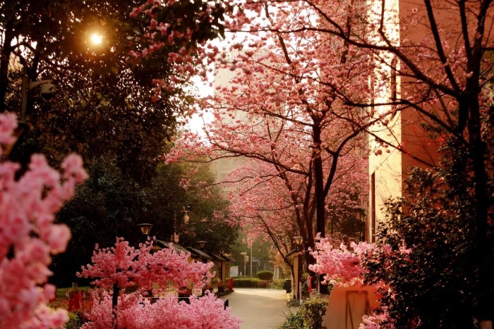 昆明市盘龙区联盟小学