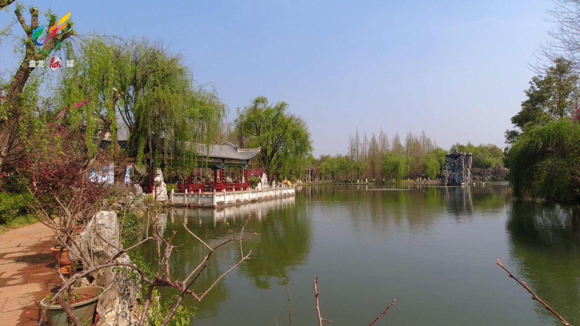 满园春色关不住-封面