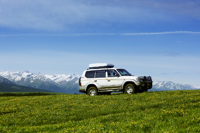 （图：“高铁+租车”的春游出行方式越来越受青睐 飞猪供图） (1).png