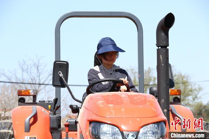 周丹操纵耕地机 项菁 摄