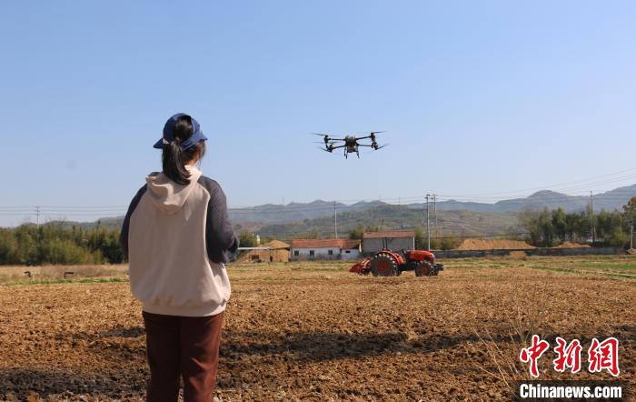 周丹操纵无人植保机为粮田喷洒基肥 项菁 摄