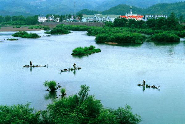 南峰街道浮石园村(1)