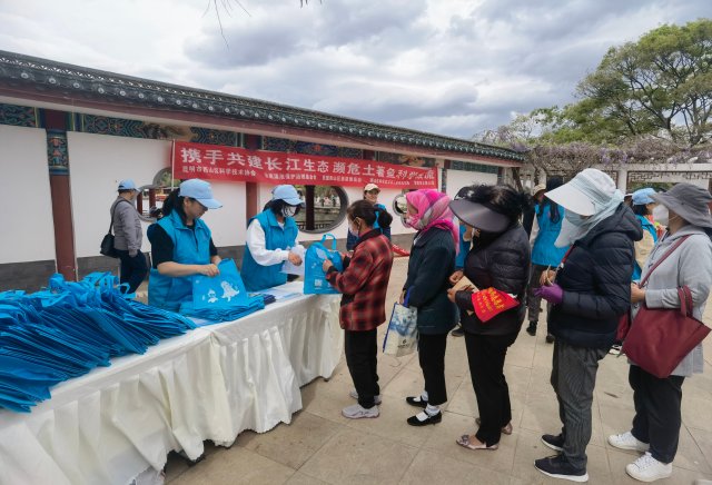 8000余尾滇池金线鲃放流昆明滇池