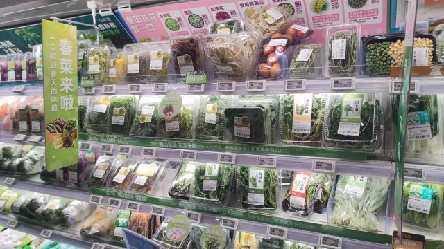 春日上新 这些花都是云南人的餐桌美食5 (2).jpg