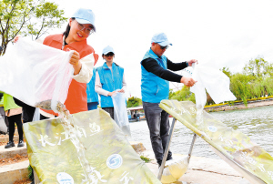 志愿者将滇池金线鲃放流滇池。记者杨艳辉摄