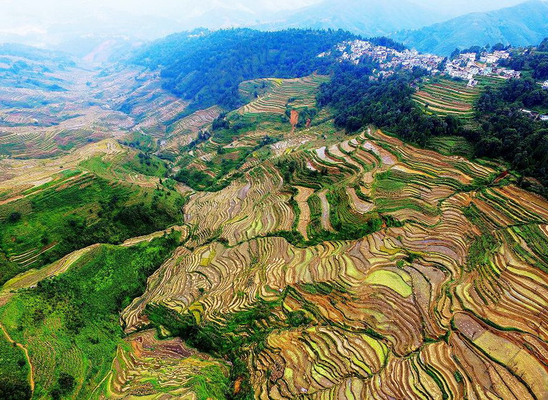 W020230328476471924793.jpg W020230328476471924793.jpg