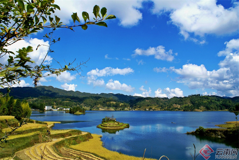 有一种叫云南的生活 | 保山龙陵云雾涌动宛若仙境_昆明信息港