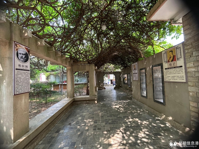 WechatIMG1868 WechatIMG1868