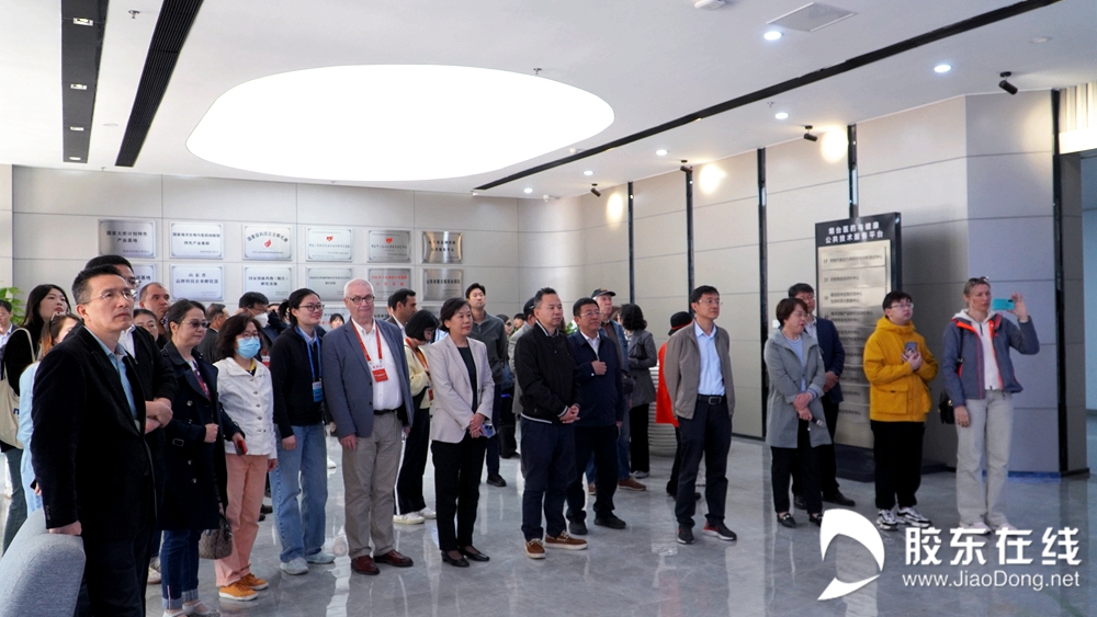 微信图片_20230420080334_副本