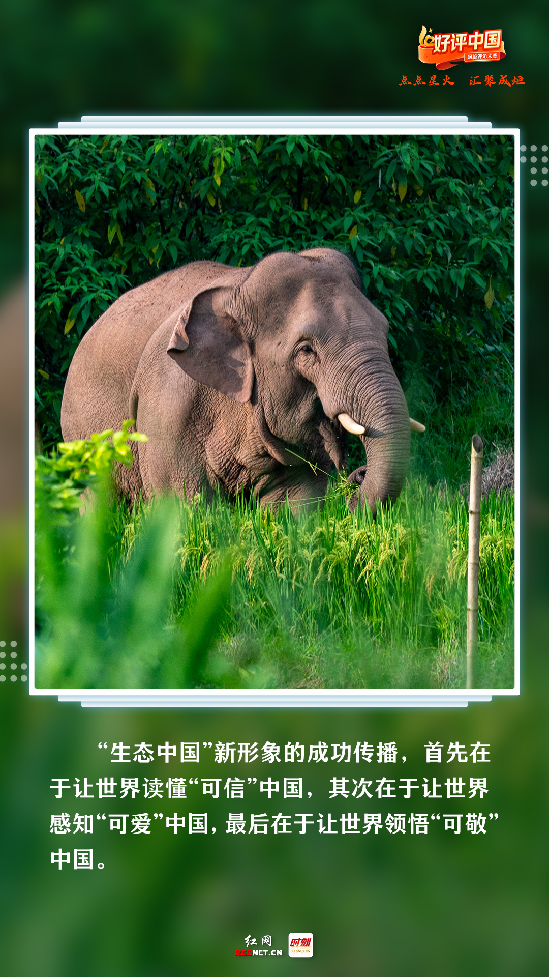 世界地球日5.jpg 世界地球日5.jpg