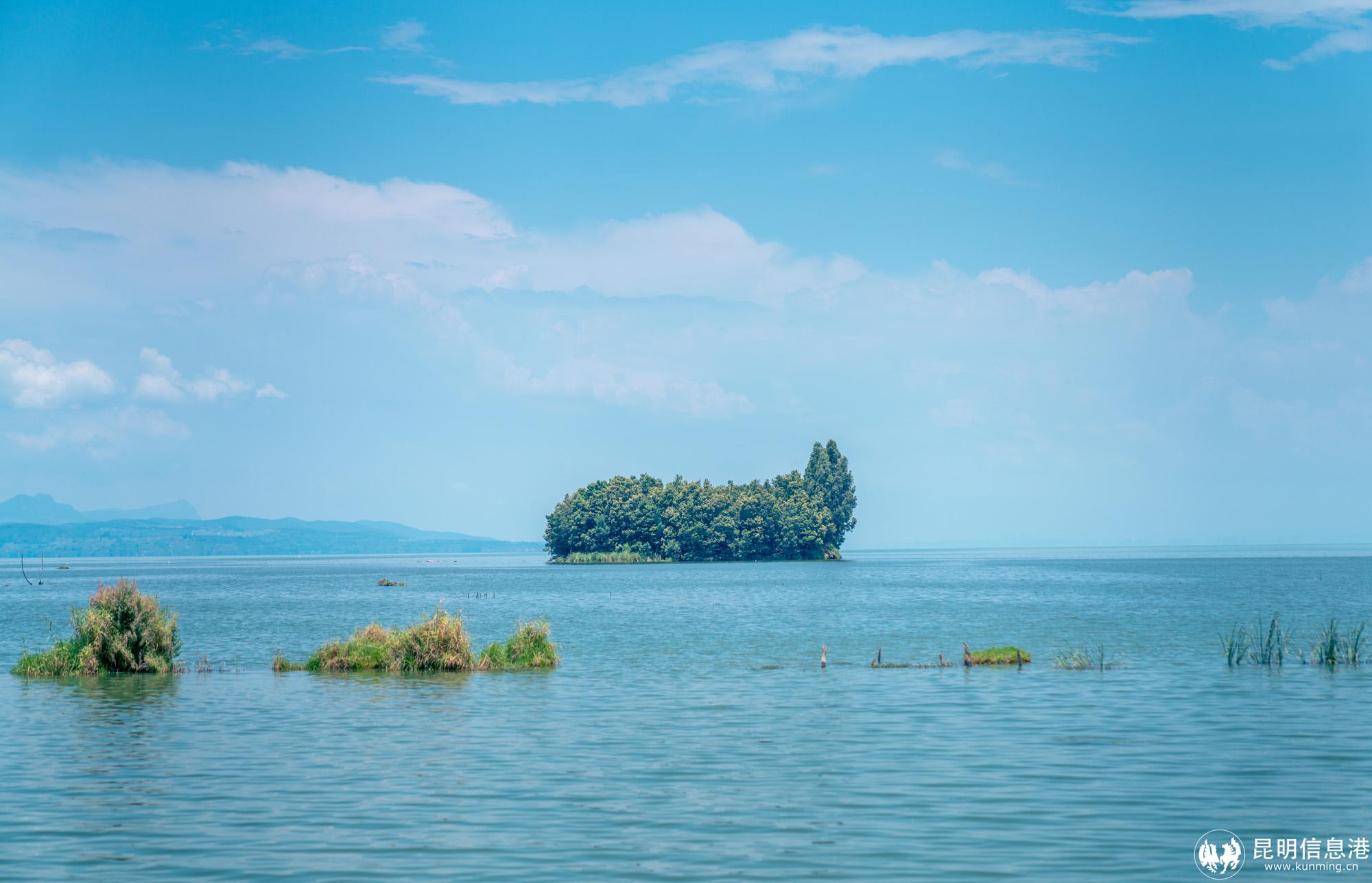 海埂村的鲸鱼岛憨态可掬  宋光旭摄