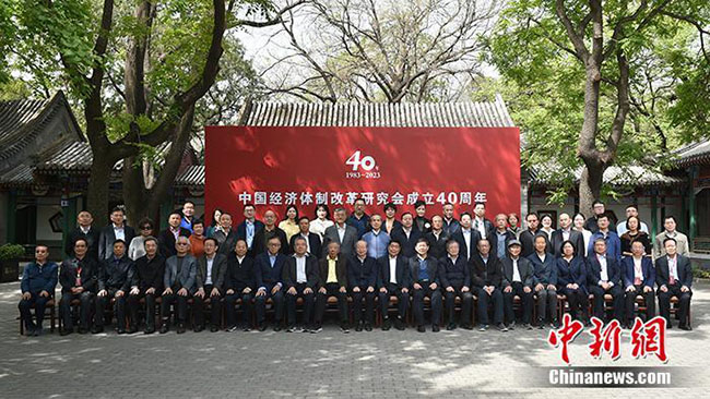 1384809_2048x2048 1384809_2048x2048