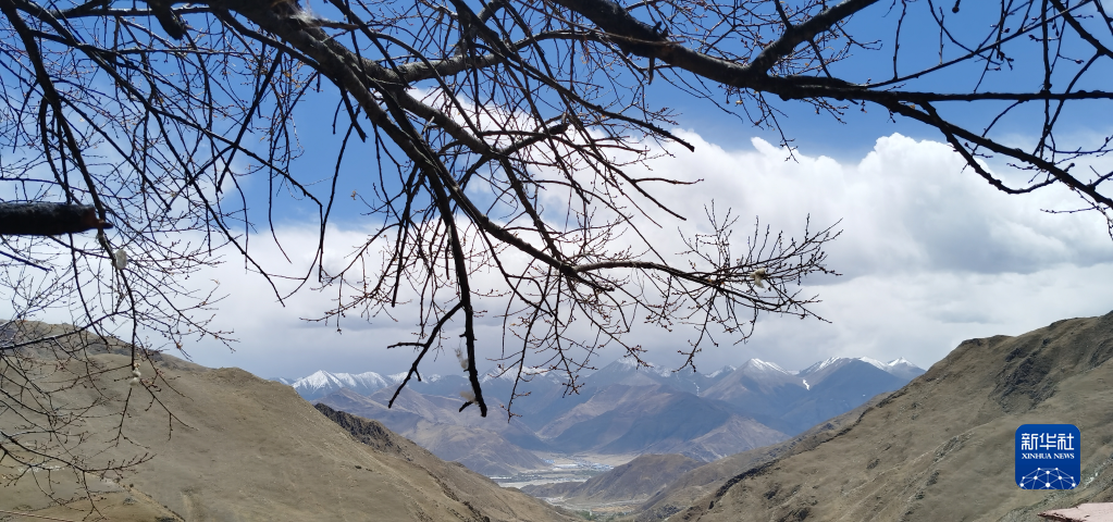 1310714233_16825040002011n 1310714233_16825040002011n