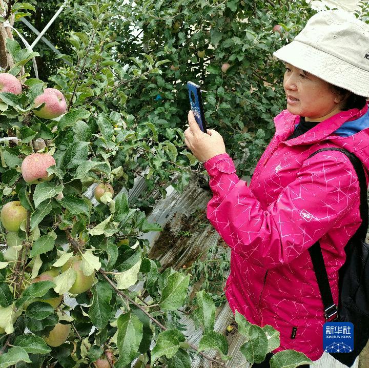 1310714233_16825040007691n 1310714233_16825040007691n