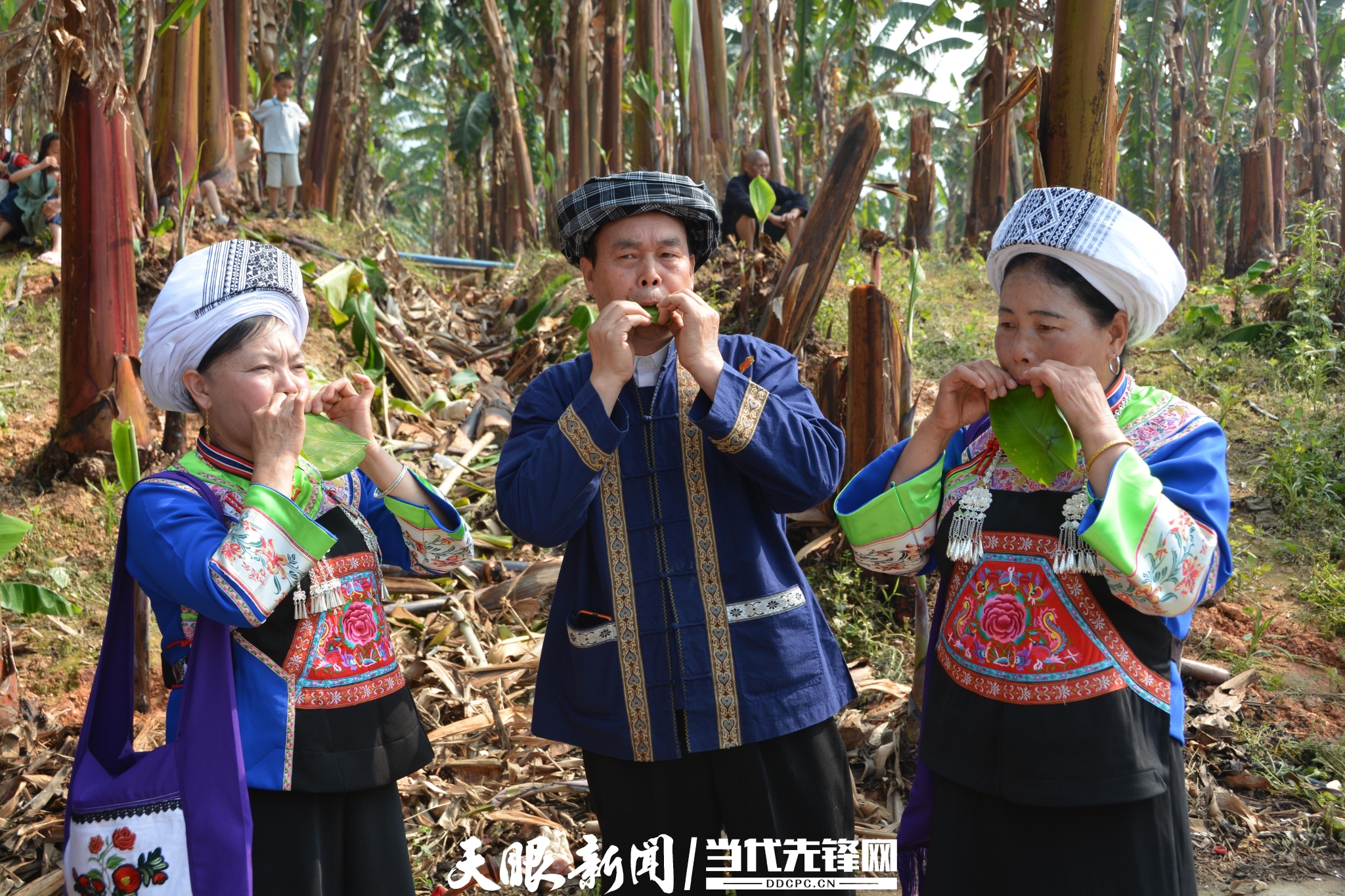 木叶声声入耳。韦欢 摄.JPG