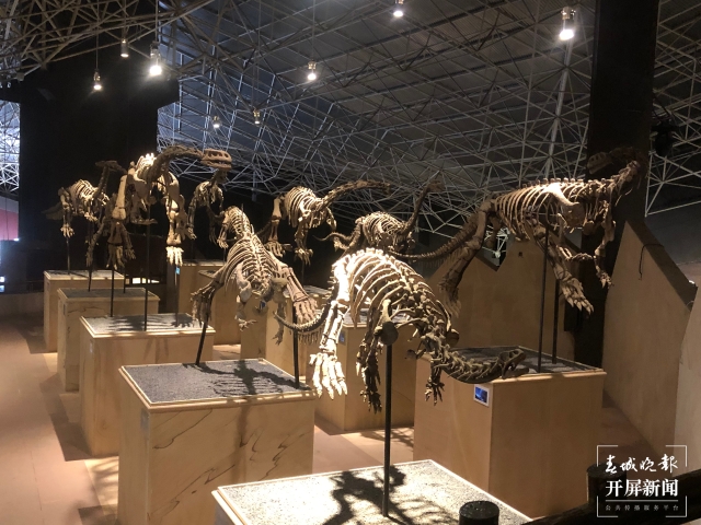 这个国庆假期一起走进禄丰恐龙谷，重返侏罗纪时代（开屏新闻记者 罗宗伟）