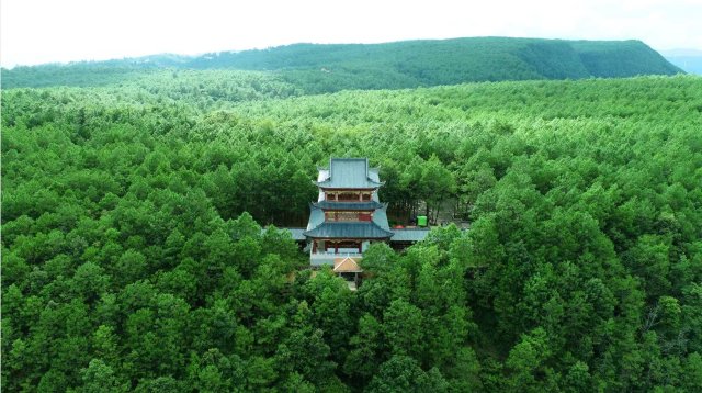 楚雄是什么颜色