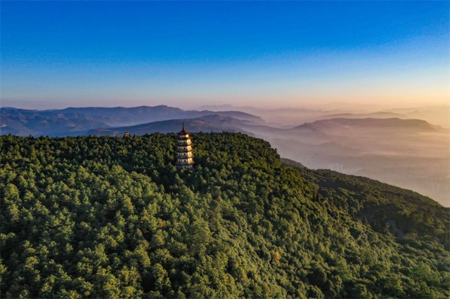 楚雄是什么颜色