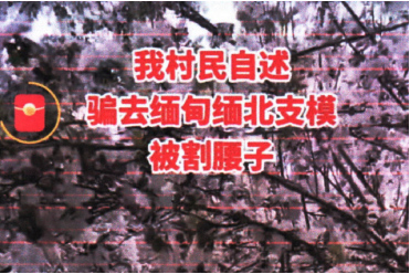 云南网警依法处置“村民被骗到缅北割腰子”谣言