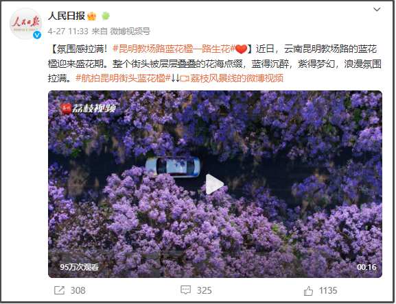 有一种叫云南的生活｜呀！云南又被cua惹~