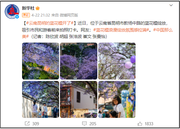 有一种叫云南的生活｜呀！云南又被cua惹~