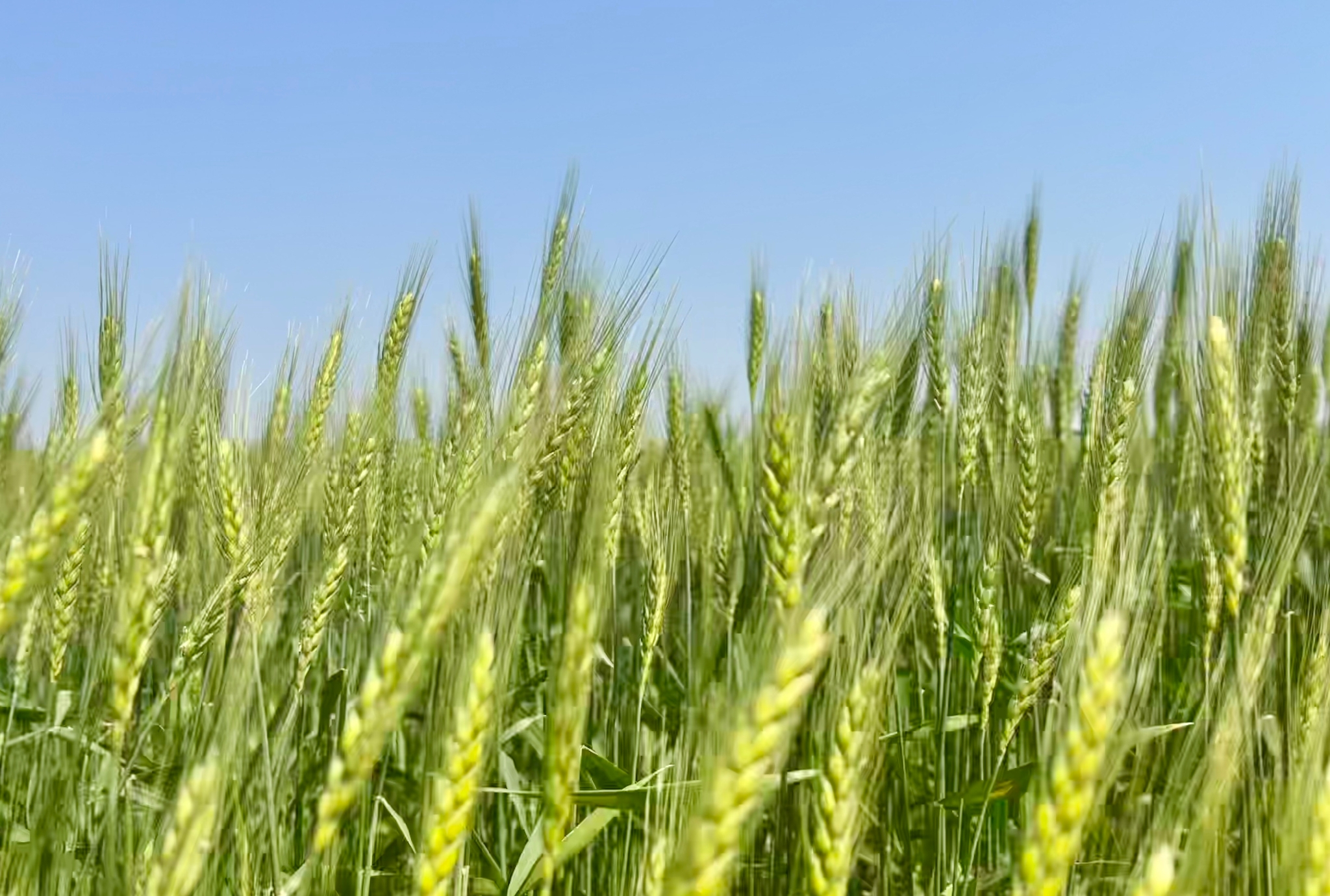 1683897382277274.jpg?x-oss-process=style/w10 1081858902.jpg?x-oss-process=style/w10