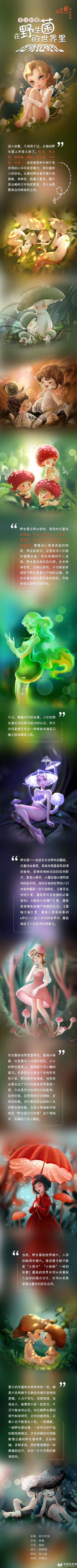 漫评 拿出创意，在野生菌的世界里挖呀挖呀挖