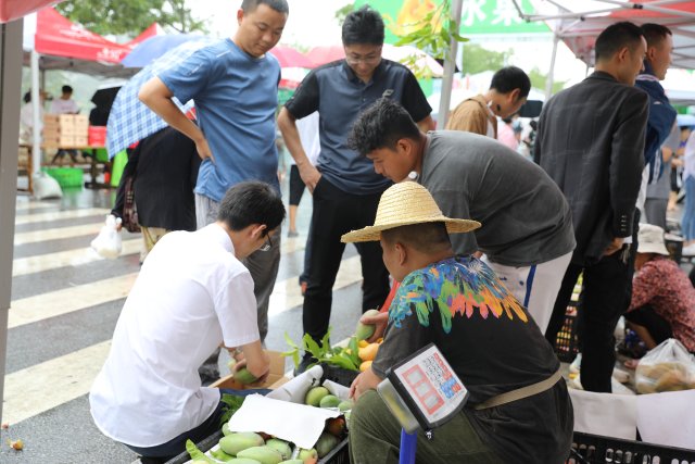 水果一条街游客纷纷把芒果带回家6月10日摄.JPG