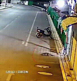 抓捕现场曝光！鳄鱼出逃躲进昆明一公园...