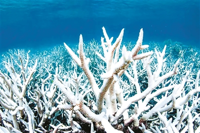 微信图片_20230615161004