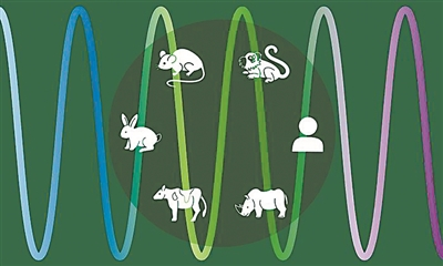 微信图片_20230621164616