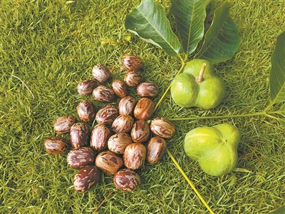 微信图片_20230627151621