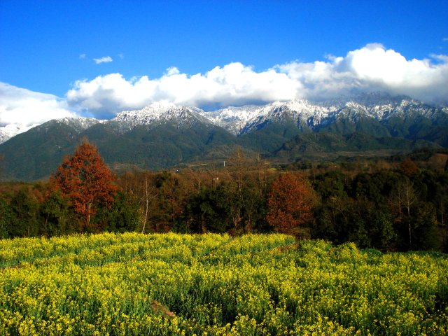 一山分四季 刘正凡摄.JPG