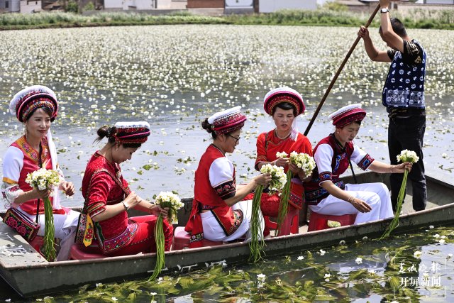 有一种叫云南的生活 面朝洱海，收海菜花喽~（有视频） (2).JPG