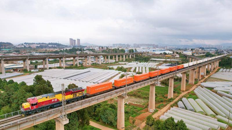 “黄金线路”果飘香!中老铁路进口水果货运量超4万吨