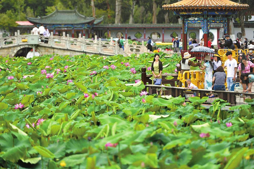 昆明景点排行榜_昆明周边好玩的地方一日游推荐昆明周边好玩的地方(2)
