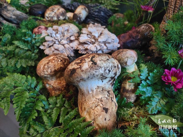 有一种叫云南的生活｜暑期旅游来云南，享“天生美食”（开屏新闻记者 孙江荭 摄）