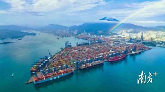 多艘超大型集装箱船靠泊盐田国际码头。 多艘超大型集装箱船靠泊盐田国际码头。