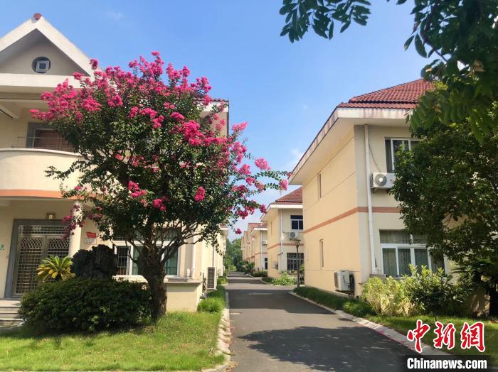 滕头村民住宅一景。 林波 摄 滕头村民住宅一景。 林波 摄