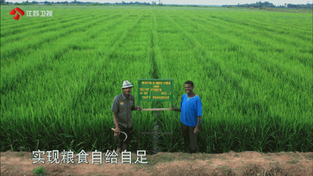 刚刚!袁隆平墓前发生惊人一幕,外交部发言人都忍不住公布...
