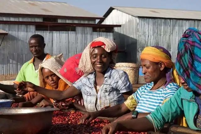 刚刚!袁隆平墓前发生惊人一幕,外交部发言人都忍不住公布...