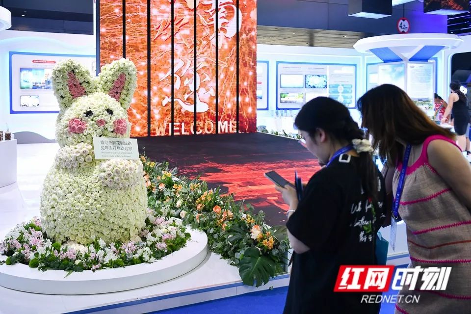 刚刚!袁隆平墓前发生惊人一幕,外交部发言人都忍不住公布...