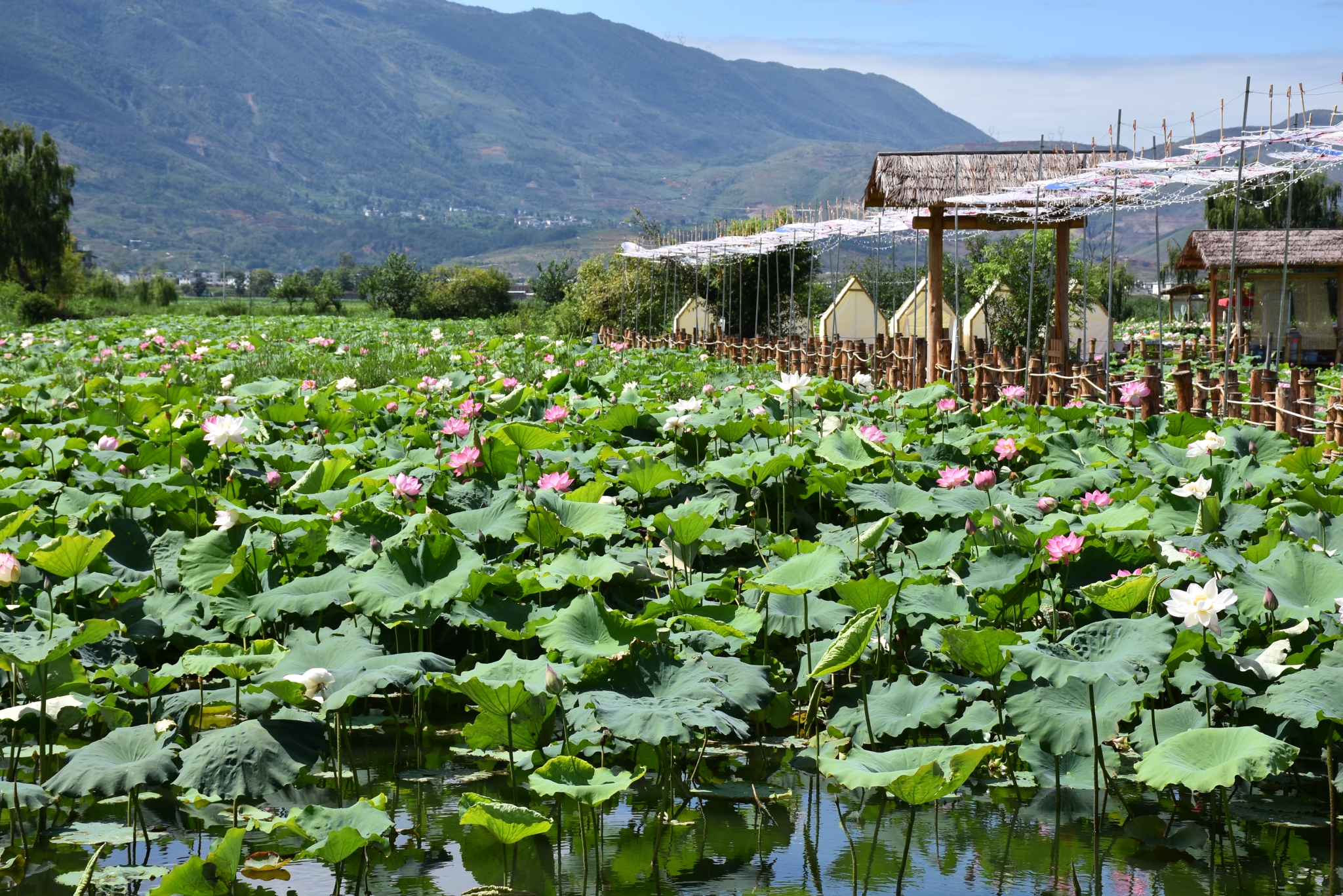 12673_3825901f-b74a-46c6-9383-15182b3dd10e