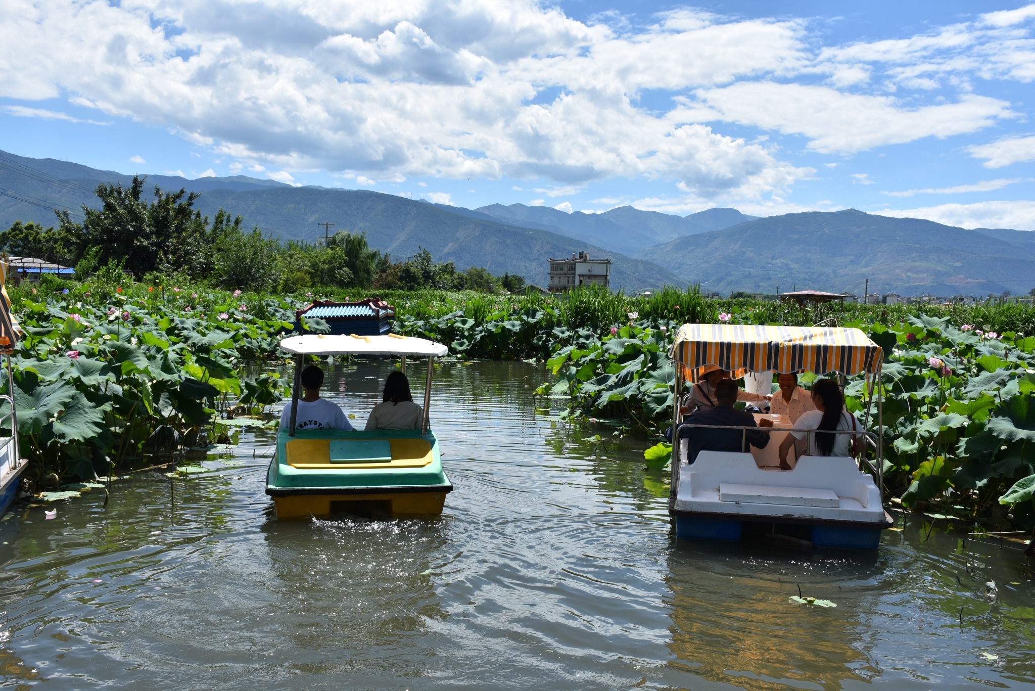 12673_896fafaa-8a40-4cbf-a7f4-29c6217ff736