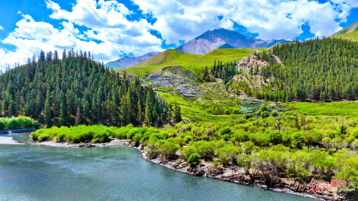 碧水蓝天 绘就万物共生生态画卷