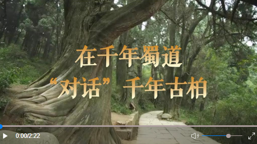 微信图片_20230727202013 微信图片_20230727202013