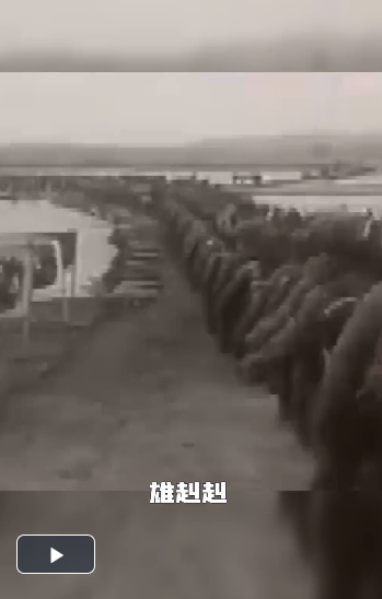 微信图片_20230727221950